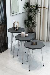3'lü Sekizgen Zigon Sehpa Seti - Gümüş Metal Ayaklı, Modern & Şık Yan Sehpa, Dayanıklı Salon Ofis Antrasit