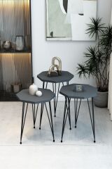 3'Lü Sekizgen Zigon Sehpa ve Dikdörtgen Orta Sehpa Takımı Modern Siyah Metal Ayaklı Salon Sehpa Seti Antrasit