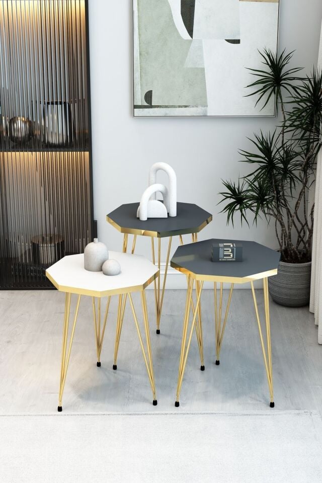 Barın Design 3'lü Sekizgen Zigon Sehpa Seti - Gold Metal Ayaklı, Modern & Şık Yan Sehpa, Dayanıklı Salon Ofis 1 Beyaz 2 Antrasit
