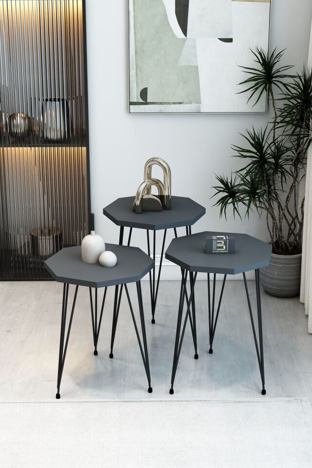 Barın Design 3'lü Sekizgen Zigon Sehpa Seti - Siyah Metal Ayaklı, Modern & Şık Yan Sehpa, Dayanıklı Salon Ofis Antrasit