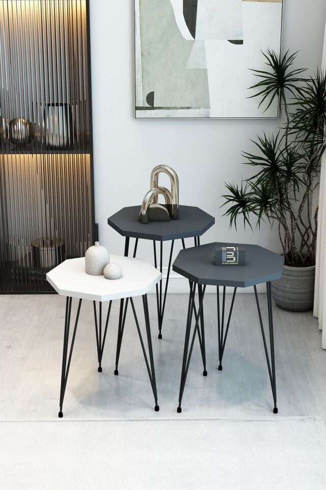 Barın Design 3'lü Sekizgen Zigon Sehpa Seti - Siyah Metal Ayaklı, Modern & Şık Yan Sehpa, Dayanıklı Salon Ofis 1 Beyaz 2 Antrasit