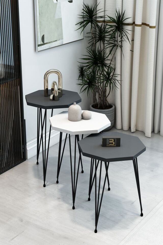 Barın Design 3'lü Sekizgen Zigon Sehpa Seti - Siyah Metal Ayaklı, Modern & Şık Yan Sehpa, Dayanıklı Salon Ofis 1 Beyaz 2 Antrasit