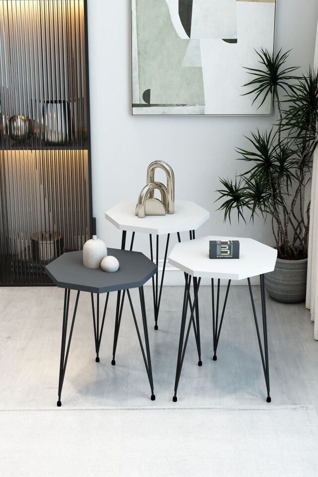 Barın Design 3'lü Sekizgen Zigon Sehpa Seti - Siyah Metal Ayaklı, Modern & Şık Yan Sehpa, Dayanıklı Salon Ofis 2 Beyaz 1 Antrasit