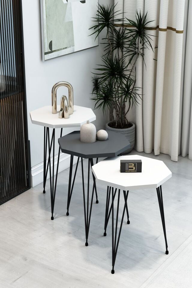 3'lü Sekizgen Zigon Sehpa Seti - Siyah Metal Ayaklı, Modern & Şık Yan Sehpa, Dayanıklı Salon Ofis 2 Beyaz 1 Antrasit