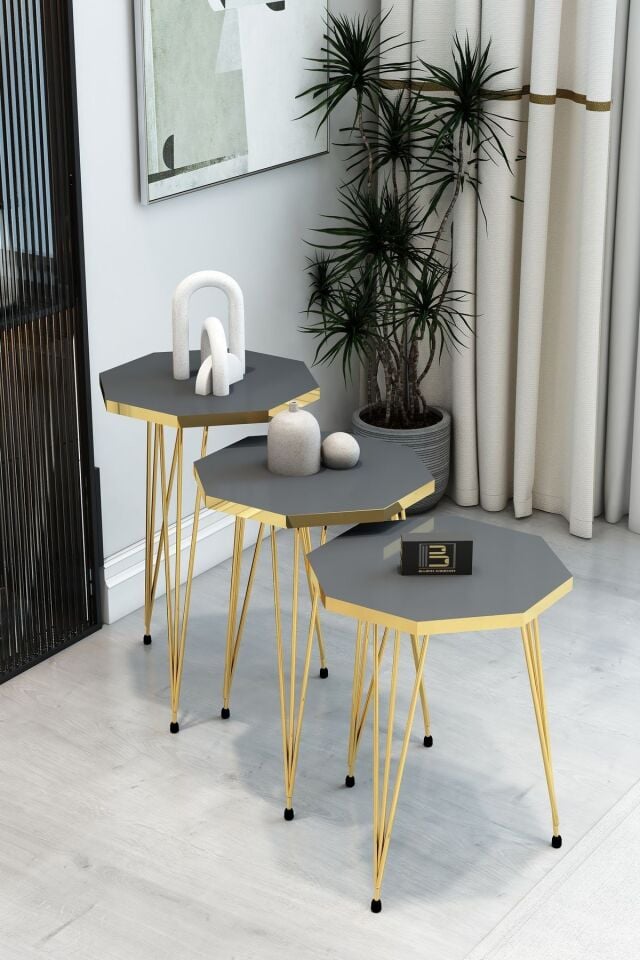 3'Lü Sekizgen Zigon Sehpa ve Dikdörtgen Orta Sehpa Takımı Modern Gold Metal Ayaklı Salon Sehpa Seti Antrasit