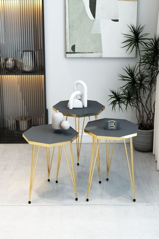 3'Lü Sekizgen Zigon Sehpa ve Dikdörtgen Orta Sehpa Takımı Modern Gold Metal Ayaklı Salon Sehpa Seti Antrasit