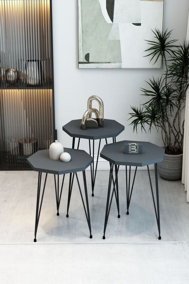 3'Lü Sekizgen Zigon Sehpa ve Dikdörtgen Orta Sehpa Takımı Modern Siyah Metal Ayaklı Salon Sehpa Seti Antrasit