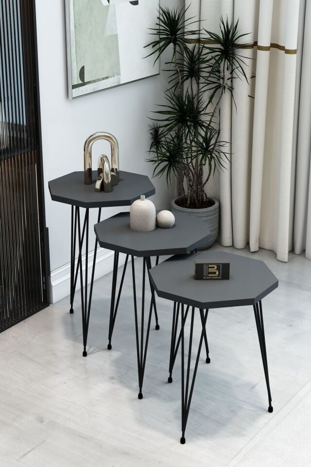 3'Lü Sekizgen Zigon Sehpa ve Dikdörtgen Orta Sehpa Takımı Modern Siyah Metal Ayaklı Salon Sehpa Seti Antrasit
